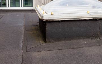disadvantages of Castle Caereinion flat roofs